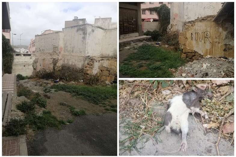 Solares de la calle de Marcos García del Castillo (Foto TA)